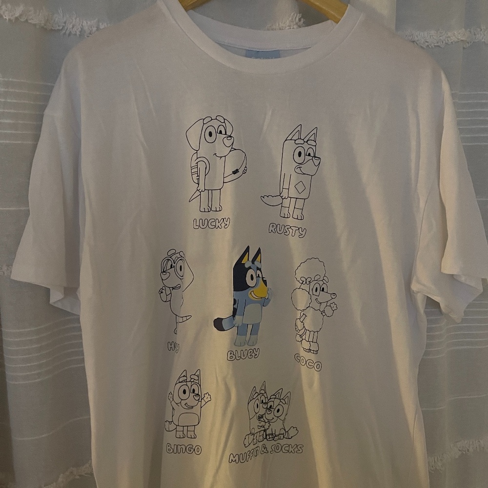 3/$10 SALE Bluey Adult Graphic Tee